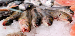 Fischstand mit frischen Fischen auf dem Wochenmarkt in Hamburg Sasel.