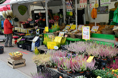 Marktstand mit Blumen / Heide auf dem Wochenmarkt Grundstraße im Hamburger Stadtteil Eimsbüttel.