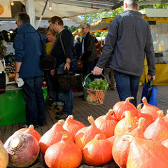 Verkaufsstand mit Kürbissen  auf dem Wochenmarkt Tibarg im Hamburger Stadtteil Niendorf.