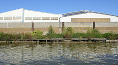Alte ausgemusterte Holzpontons / Anleger mit Wildkraut / jungen Bäumen bewachsen im Grevenhofkanal in Hamburg Steinwerder - Lagerhäuser am Kanalufer.