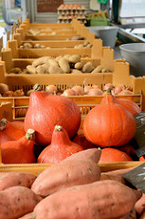 Marktstand auf dem Wochenmarkt Straßburger Platz in Hamburg Dulsberg, Süßkartoffeln / Batate und Kürbissen in der Auslage.