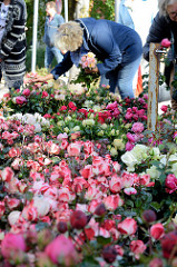 Blumenstand mit frischen Rosen auf dem Wochenmarkt Tibarg im Hamburger Stadtteil Niendorf.
