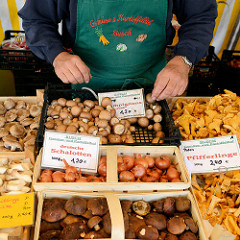 Unterschiedliche Pilze in Holzkisten an einem Gemüsestand auf dem Alsterdorfer Wochenmarkt / Marktplatz.