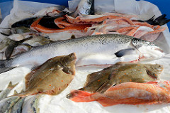 Fischstand auf dem Wochenmarkt im Hamburger Stadtteil Bramfeld, Herthastraße.