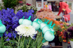 Wochenmarkt im Hamburger Stadtteil Bramfeld, Herthastraße - Blumenstand  mit Chrysanthemen, die Blüten sind teilweise mit einem Netz geschützt.