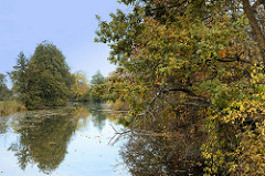 Lauf der Gooseelbe im Hamburger Stadtteil Kirchwerder, Bäume mit gelbem Herbstlaub stehen am Ufer des Flusses.