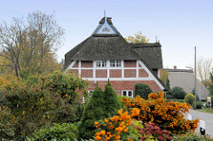 Herbstbilder  aus  Hamburg Kirchwerder, Sträucher mit orangefarbenen Früchten, Apfelbaum und Fachwerkhaus mit Reetdach.