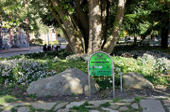 Grünanlage  Max Schmeling Park am Rathausplatz von Hamburg-Harburg.