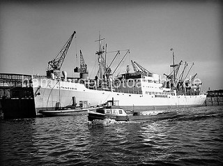 Historische Hafenbilder aus dem  Hamburger Hafen. Der weisse Bananenfrachter BETANCURIA liegt am Asiakai im Segelschiffhafen, einem der vielen Hafenbecken des Hamburger Hafens. Ein Kran hievt gerade eine Ladung Bananen aus dem Laderaum.