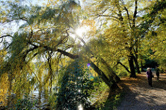 Spaziergang am Ufer vom Außenmühlenteich im Harburger Stadtpark; Weidenbäume stehen schräg über dem Seeufer die tief stehende Herbstsonne strahlt durch die Zweige.