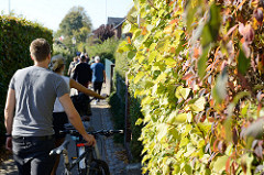 Schmaler Fußweg Övelgönne am Elbufer in Hamburg Othmarschen;  Fahrradfahrerinnen sind angehalten ihr Fahrrad zu schieben.