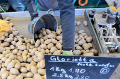 Kartoffelstand auf dem Hamburger Wochenmarkt Farmsen-Berne; ein Markthändler füllt Kartoffeln in eine Waagschale.