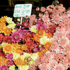 Blumenstand auf dem Wochenmarkt In Hamburg Neuallermöhe / Fleetplatz.