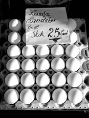 Frische Landeier in einer Eierpappe / Höckerlage auf dem Wochenmarkt in Hamburg Finkenwerder, Finksweg - Schwarzweißfotografie.