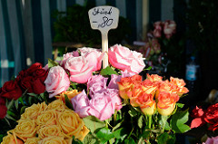 Blumenstand   auf dem Wochenmarkt in Hamburg Finkenwerder, Finksweg;  unterschiedlich farbige Rosen werden in Sträußen zum Verkauf angeboten.