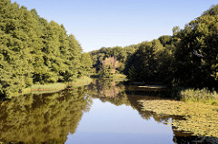 Bis an das Ufer des Finowkanals wachsen die hohen Bäume, die sich im stillen Wasser des Kanals spiegeln.