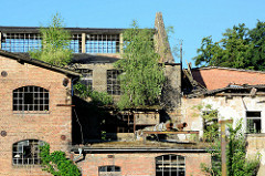 Blick vom Finowkanal auf die historische, denkmalgeschützte Industriearchitektur in Eberswalde.  Ruinen der ehem. Papierfabrik Wolfswinkel. Die Papiermühle würde ursprünglich 1728 errichtet, 1760 niedergebrannt - 1765 wieder aufgebaut; 1834 bekam die