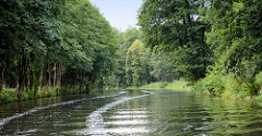 Ruhe und Entspannung auf dem Finowkanal in Brandenburg - dicht stehen die Bäume am Kanalufer.