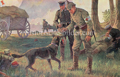 Sanitätshund / Suchhund des Deutschen Roten Kreuzes im I. Weltkrieg. Schäferhund mit Rote Kreuz Abzeichen am Halsband - Sanitäter in der Schlacht.