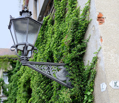 Schmiedeeiserne Laterne mit geflügelten Pferd als Schmuckdekor an einer efeubewachsenen Rauputzfassade am Roßplan in der Stadt Altenburg.