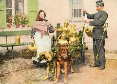 Polizeikontrolle einer Milchhändlerin in Belgien / Flandern; zwei Hunde mit Maulkorb sind in der Deichsel des zweirädrigen Karrens eingespannt - im Stroh stehen große Messingkannen / Milchkannen - historisch colorierte Aufnahme.