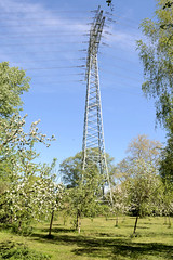 Bilder aus dem Hamburger Stadtteil Billbrook - Strommast einer Überlandleitung und blühender Apfelbaum einer Streuobstwiese am unteren Landweg.