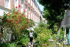 Bilder aus dem Hamburger Stadtteil Hoheluft Ost - Bezirk Hamburg Nord. Wohnhäuser / Falkenriedterrassen mit blühenden Rosen / Garten; errichtet 1891 für kinderreiche Arbeiterfamilien.