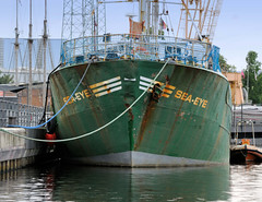 Das ehem. Rettungsschiff  Sea-Eye hat am Lotsenkanal im Hafen von Hamburg Harburg festgemacht;  Schiffsname und  rostiger Anker am Schiffsbug.