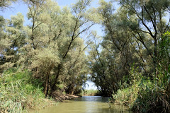 Fotos vom Biosphärenreservat Donaudelta bei Murighiol in Rumänien.