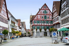 Riedlingen   ist eine am Südrand der Schwäbischen Alb an der Donau gelegene Stadt in Baden-Württemberg.