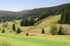 Quelle der Breg in Furtwangen - Schwarzwald in Baden-Württemberg; Hauptquellfluss der Donau, hydrologische Donauquelle. Blick über das Donautal nahe der Quelle in Furtwangen.