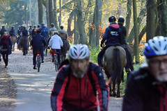 Fotos vom Forst Klövensteen im Hamburger Stadtteil Rissen; SpaziergängerInnen und ReiterInnen auf ihren Pferden beim Ausritt am Sandmoorweg.