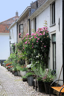 Bilder aus der Stadt Elburg am Veluwemeer in den Niederlanden - ehemalige Hansestadt.