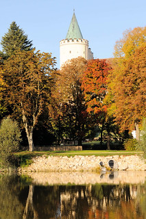 Die Stadt Lauingen , Donau liegt im Landkreis Dillingen im Donautal in Bayern. Blick über die Donau,herbstlich gefärbte Bäume stehen am Donauufer, dahinter der Schloßturm.