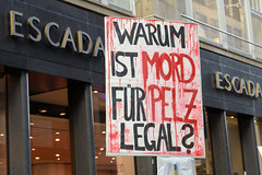 Demonstration gegen den Pelzhandel bei der Modekette ESCADA in der Hamburger Innenstadt. Protestplakat vor ESCADA: Warum ist Mord für Pelz legal?