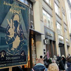 Demonstration gegen den Pelzhandel bei der Modekette ESCADA in der Hamburger Innenstadt. Protestplakat - Animal Liberation Now - Tierbefreier.