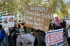 Demonstration gegen den Pelzhandel bei der Modekette ESCADA in der Hamburger Innenstadt. Protestplakat: Warum? sind für euch nur tote Tiere etwas wert