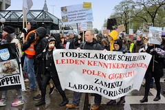 Tierschützer*innen demonstrieren gegen umstrittenes Tierlabor LPT am 16.11.19. in Hamburg.