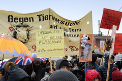 Tierschützer*innen demonstrieren gegen umstrittenes Tierlabor LPT am 16.11.19. in Hamburg.