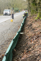 Auf einer Länge von 600 m wird ein grüner Krötenzaun entlang der viel befahrenen Straße am Tangstedter  Forst errichtet.