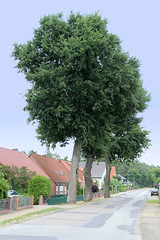 Techentin  war ein eigenständiges Dorf in Westmecklenburg und gehört seit seiner Eingemeindung 1972 zum Stadtgebiet von Ludwigslust.