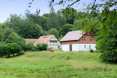 Die Buchenwälder der Serrahner Berge sind seit Juni 2011 zusammen mit vier weiteren deutschen Buchenwäldern UNESCO-Weltnaturerbe.