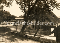 Alte Fotografie von reetgedeckten Bauernhäusern im Hamburger Stadtteil Moorfleet.