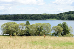 Kittlitz ist eine Gemeinde im Kreis Herzogtum Lauenburg in Schleswig-Holstein.