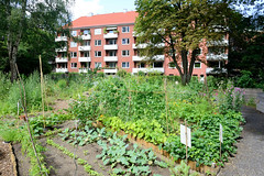 Fotos aus dem Hamburger Stadtteil Horn - Bezirk Hamburg Mitte. Stadtteilgarten Horner Paradies - Urban gardening, Gärtnern für Alle - Nutzgarten.