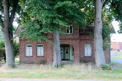 Fotos aus dem Hamburger Stadtteil Reitbrook, Bezirk Bergedorf. Leerstehendes Wohnhaus hinter hohen Linden, die Windschutz bieten.