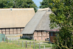 Fotos aus dem Hamburger Stadtteil Reitbrook, Bezirk Bergedorf. Hofanlage mit Wirtschaftsgebäude, Fachwerkscheunen mit Reetdach am Vorderdeich.