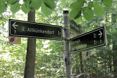 Buchenwald Grumsin - UNESCO Weltnaturerbe im Biosphärenreservat Schorfheide-Chorin, Brandenburg.
