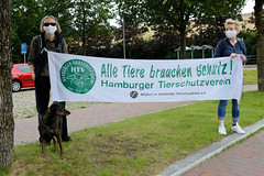 TierschützerInnen demonstrieren am 29.08.20 in Kellinghusen gegen die Fleischindustrie.