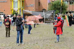 TierschützerInnen demonstrieren am 29.08.20 in Kellinghusen gegen die Fleischindustrie.